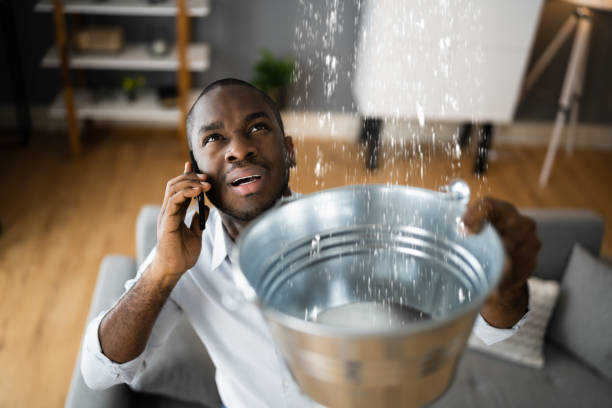 Best Ceiling water damage repair  in Portageville, MO