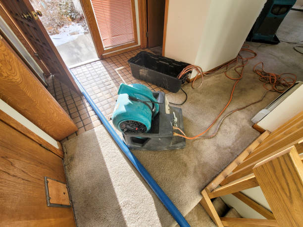 Best 24-hour water damage restoration  in Portageville, MO