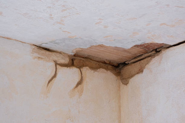 Best Fire Damage Restoration  in Portageville, MO