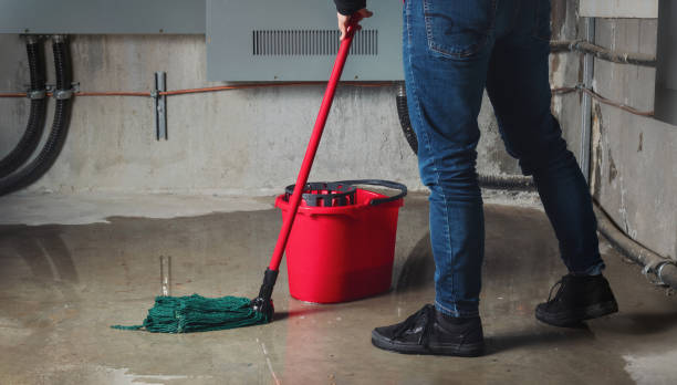 Best Residential water damage restoration  in Portageville, MO