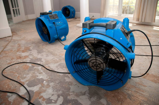 Best Commercial water damage restoration  in Portageville, MO