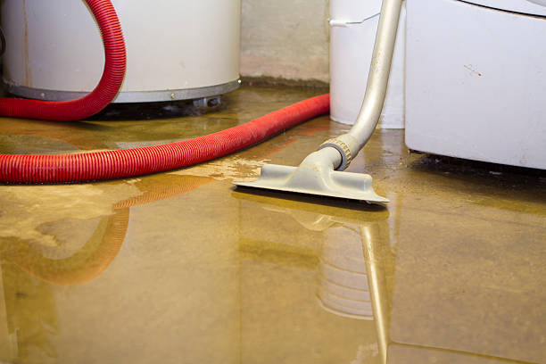  Portageville, MO Water damage restoration Pros