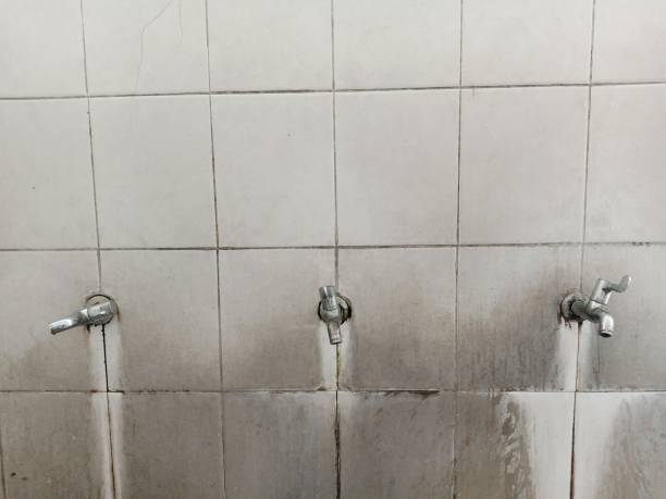 Best Commercial water damage restoration  in Portageville, MO