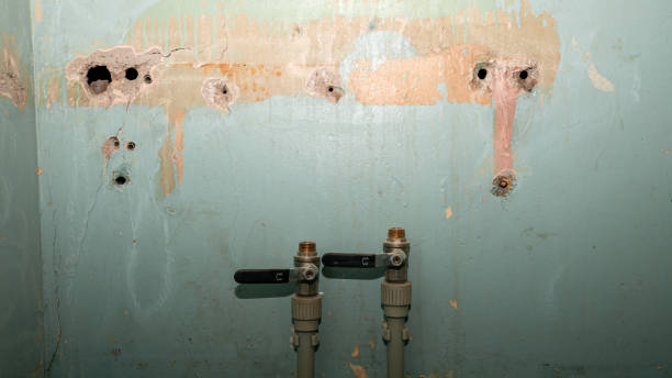Best Mold removal after water damage  in Portageville, MO
