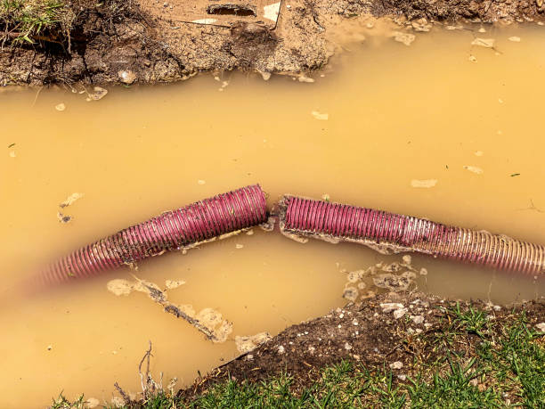 Best Flood damage cleanup  in Portageville, MO
