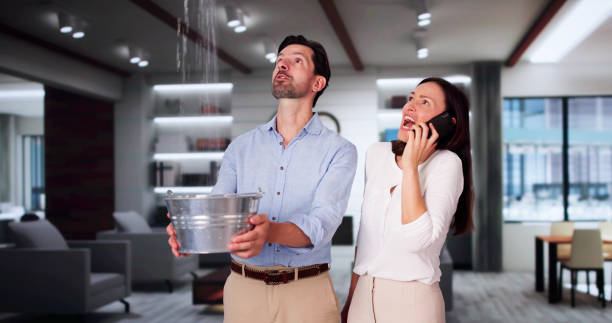 Best Residential water damage restoration  in Portageville, MO