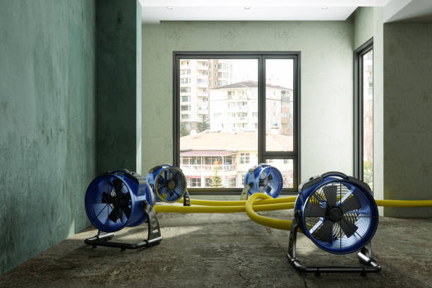 Best Water damage repair service  in Portageville, MO