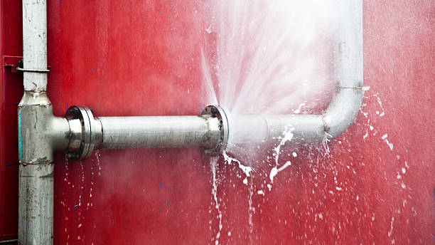 Best Water damage restoration experts  in Portageville, MO